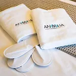Anemelia Villa *