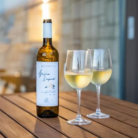 Anemelia Villa Foiníkion