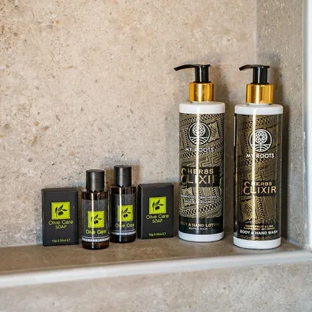 Anemelia Villa Foiníkion