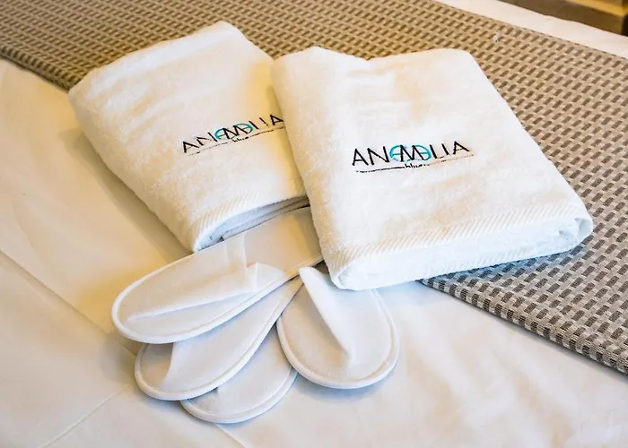 Anemelia Villa *